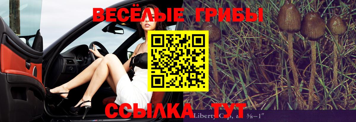 Маркс  Галлюциногенные грибы Psilocybe  Галлюциногенные грибы мухоморы  Вход с VPN 