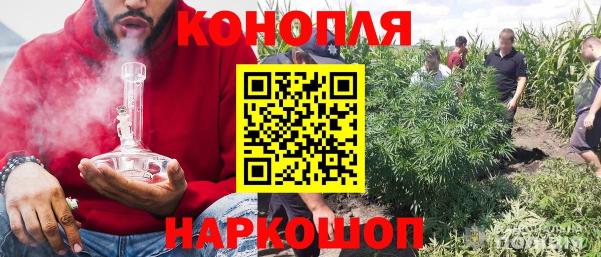 МАРИХУАНА семена  Каннабис тримм  Конопля сатива  Бошки Шишки OG Kush  Вход с VPN  Маркс 